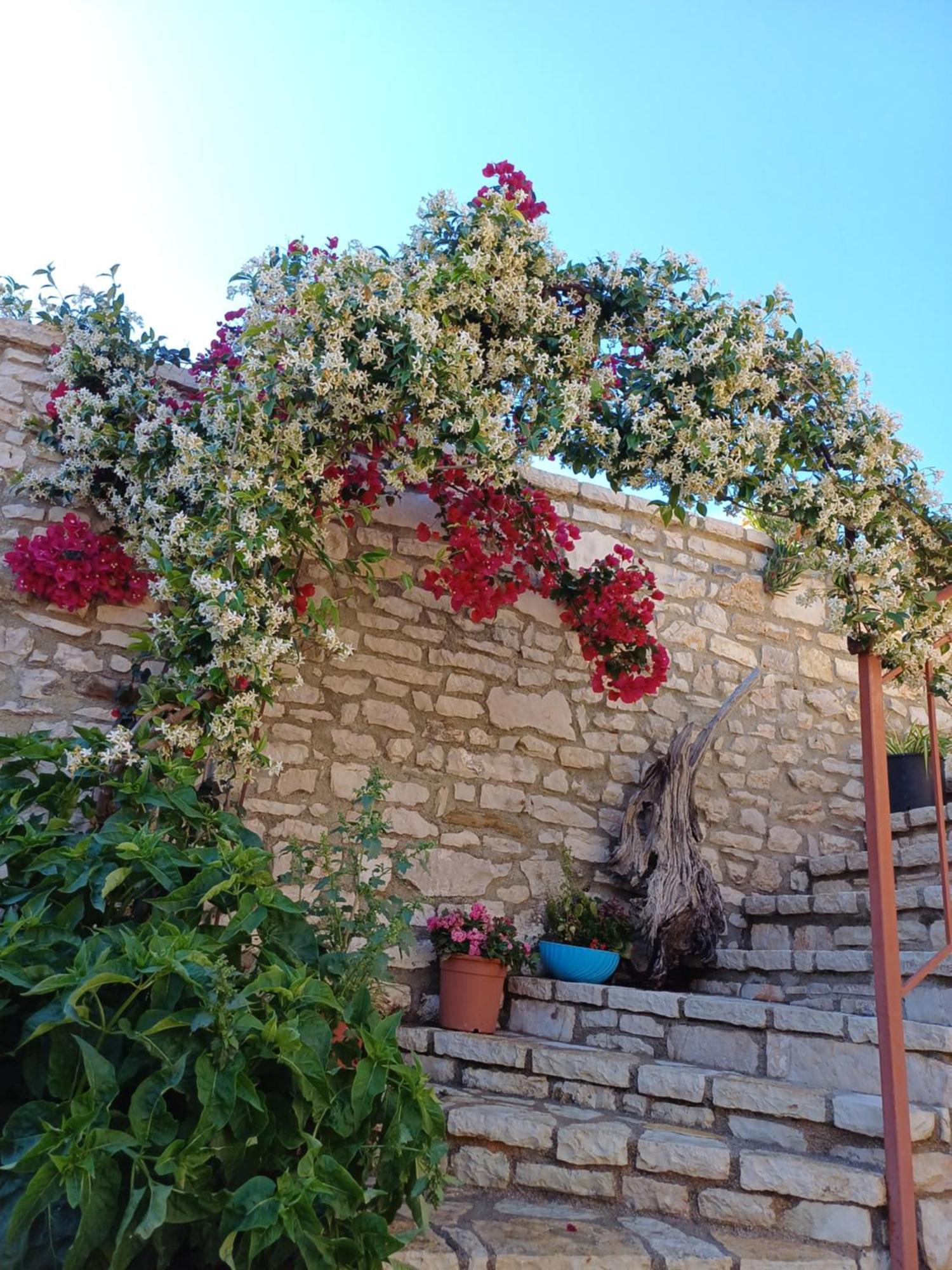 Villa Porta Qeparo Exterior foto